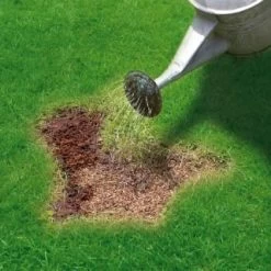Miracle-Gro Patch Magic Grass Seed, Feed & Coir 1.1kg -Magic Garden 245940 miracle gro patch magic grass seed feed and coir 3