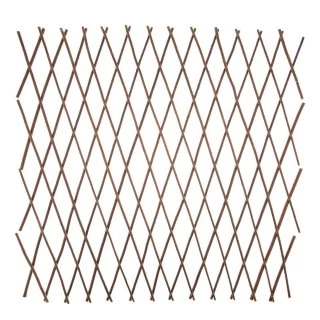 Expanding Willow Trellis 3 Expanding Willow Trellis