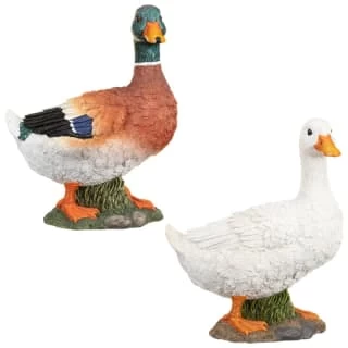 B&M Resin Duck Garden Ornament - White 5 B&M Resin Duck Garden Ornament - White - Image 3