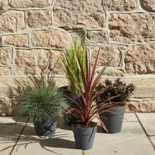 B&M Soho Pot Planter - Charcoal 38cm 6 B&M Soho Pot Planter - Charcoal 38cm - Image 4