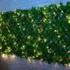 Bloom Solar Powered Expanding Artificial Leaf Trellis 200 X 100cm -Magic Garden 379978 expanding leafy trellis 100 leds 2x1m 2