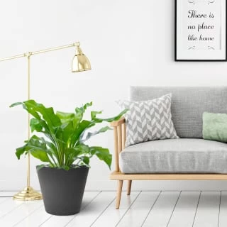 B&M Octavia Planter 38cm - Pewter 4 B&M Octavia Planter 38cm - Pewter - Image 2