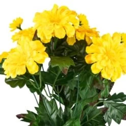 B&M Zinnia Plant Pot - Yellow -Magic Garden 392826 zinnia in pot yellow 2
