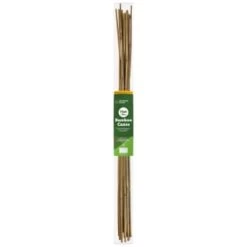 Gardeners Corner Bamboo Canes 15pk