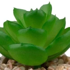 B&M Assorted Small Concrete Succulents -Magic Garden 394713 small concrete succulent 6