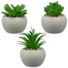 B&M Assorted Small Concrete Succulents -Magic Garden 394713 small concrete succulent group